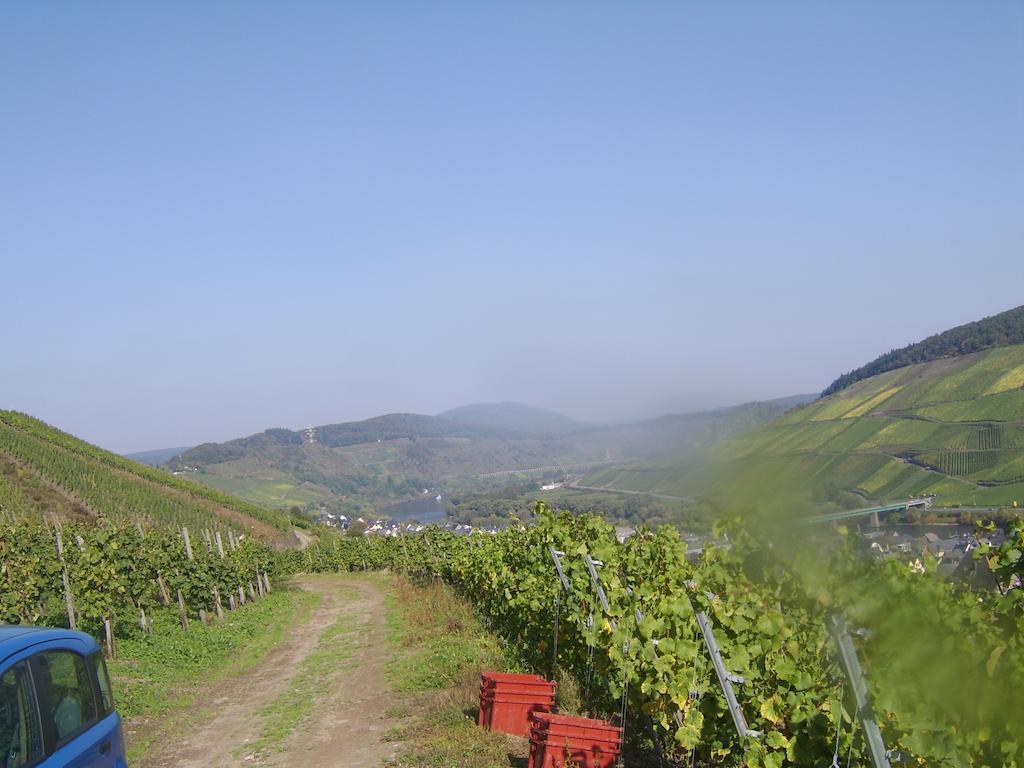 Weingut Matthias Dauns Apartment Райл Екстериор снимка