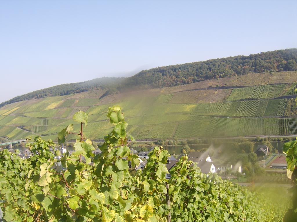 Weingut Matthias Dauns Apartment Райл Екстериор снимка