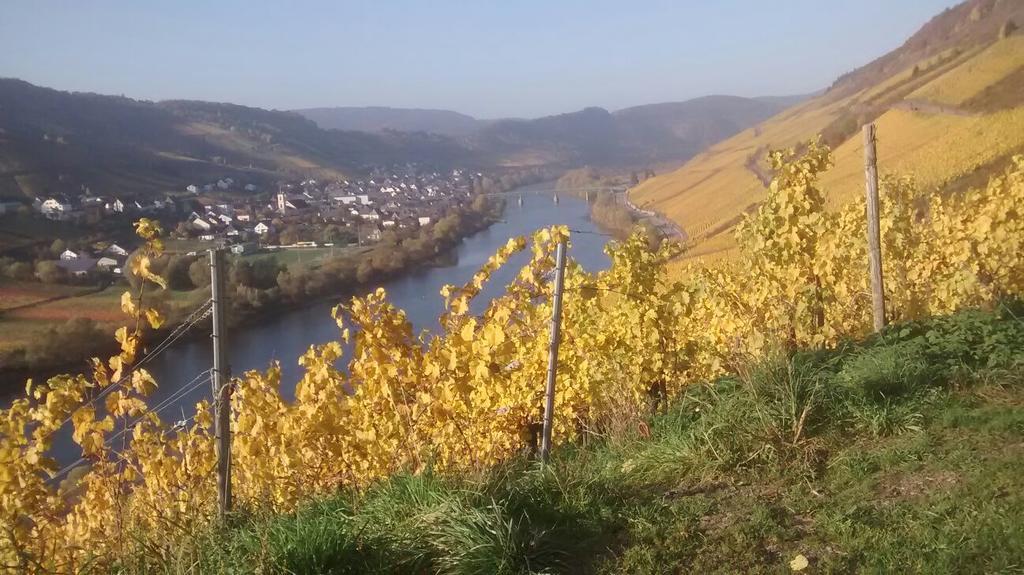 Weingut Matthias Dauns Apartment Райл Екстериор снимка