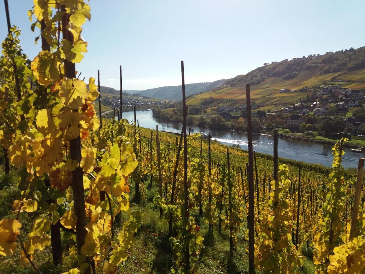 Weingut Matthias Dauns Apartment Райл Екстериор снимка