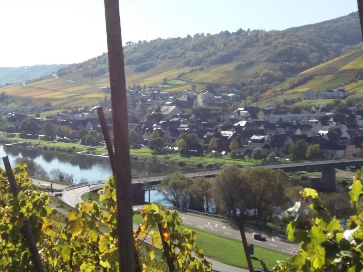Weingut Matthias Dauns Apartment Райл Екстериор снимка